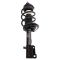 Strut & Spring Assembly