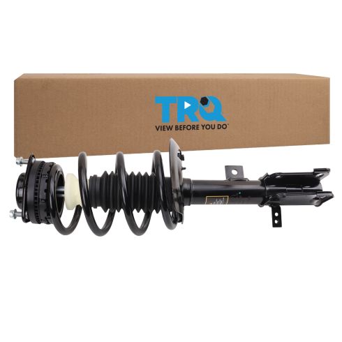 Strut & Spring Assembly