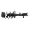 Strut & Spring Assembly