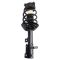 Strut & Spring Assembly
