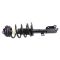 Strut & Spring Assembly