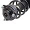 Strut & Spring Assembly
