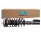 Strut & Spring Assembly