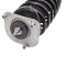 Strut & Spring Assembly