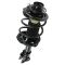 00-01 Nissan Altima Front Strut & Spring Assembly LF