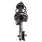 Strut & Spring Assembly