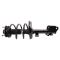 Strut & Spring Assembly