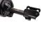 Strut & Spring Assembly