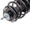 Strut & Spring Assembly