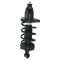 06-14 Honda Ridgeline Rear Strut & Spring Assembly RR