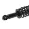 Strut & Spring Assembly