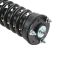 Strut & Spring Assembly