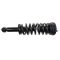 Strut & Spring Assembly