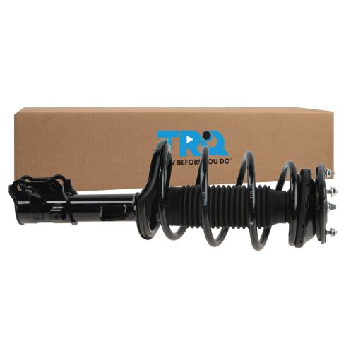 Strut & Spring Assembly