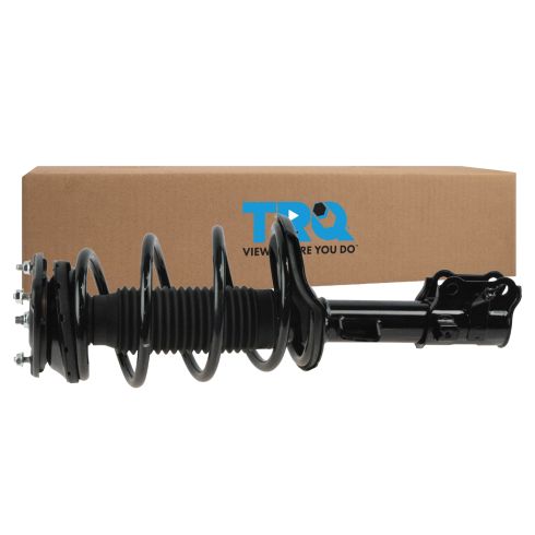 Strut & Spring Assembly