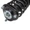 Strut & Spring Assembly