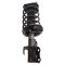 Strut & Spring Assembly