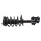 Strut & Spring Assembly