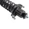 Strut & Spring Assembly