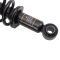 Strut & Spring Assembly