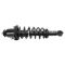 Strut & Spring Assembly