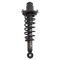 Strut & Spring Assembly