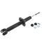 08-12 Honda Accord Rear Strut Assembly LR = RR
