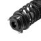 Strut & Spring Assembly