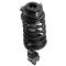 Strut & Spring Assembly