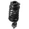 Strut & Spring Assembly