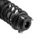Strut & Spring Assembly