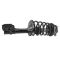 Strut & Spring Assembly