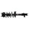 Strut & Spring Assembly