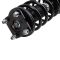 Strut & Spring Assembly