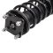 Strut & Spring Assembly