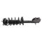 Strut & Spring Assembly
