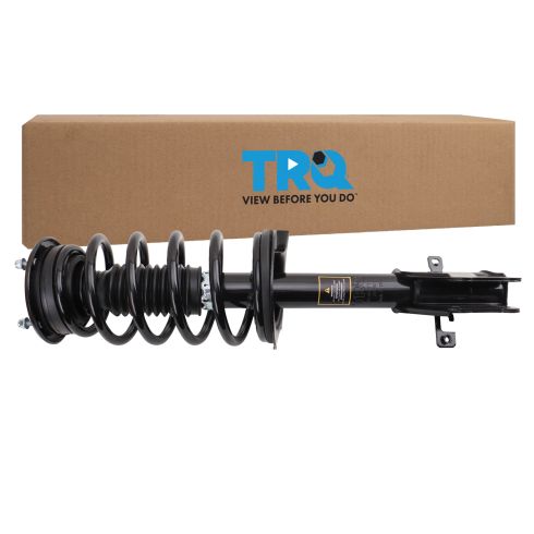 Strut & Spring Assembly