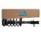 Strut & Spring Assembly
