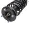 Strut & Spring Assembly