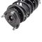 Strut & Spring Assembly