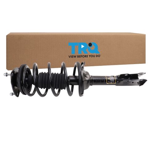 Strut & Spring Assembly