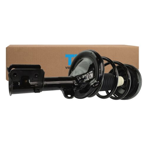 Strut & Spring Assembly