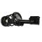 Strut & Spring Assembly