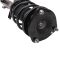 Strut & Spring Assembly