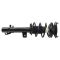 Strut & Spring Assembly