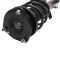 Strut & Spring Assembly