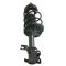 00-01 Nissan Sentra Front Strut & Spring Assembly LF