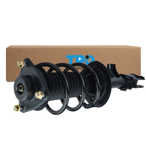 Strut & Spring Assembly