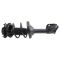 Strut & Spring Assembly