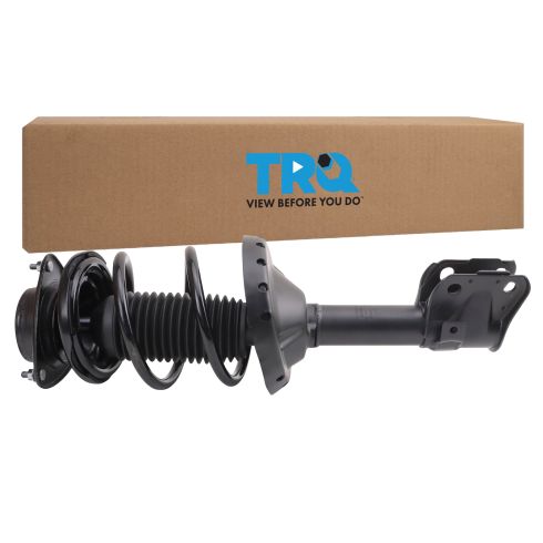 Strut & Spring Assembly